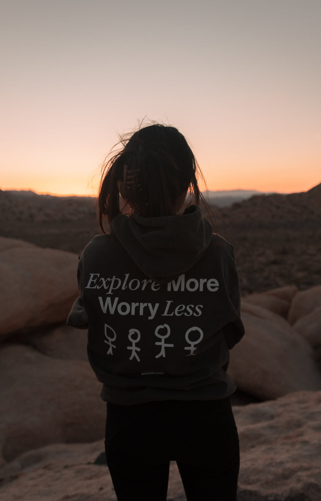 The Wander Theory Hoodie (Heavyweight)
